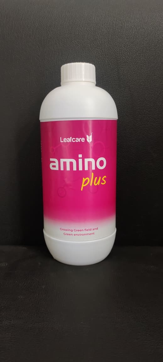 AMINO PLUS